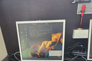 20250812_135450- optimized 1.jpg