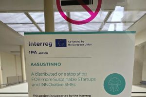 20250415_142517- optimized 1.jpg