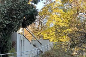 2025-11-05 Neovlašteno pražnjenje kontejnera (1)- optimized 1.jpg