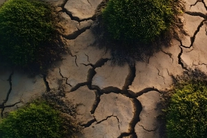 2025-12-05 canva (1)- 1600.webp