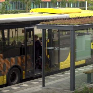  Eko vijesti - primjer uređenja autobuskih stajališta Holandija